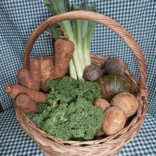 ORGANIC SMALL VEGETABLE BOX
