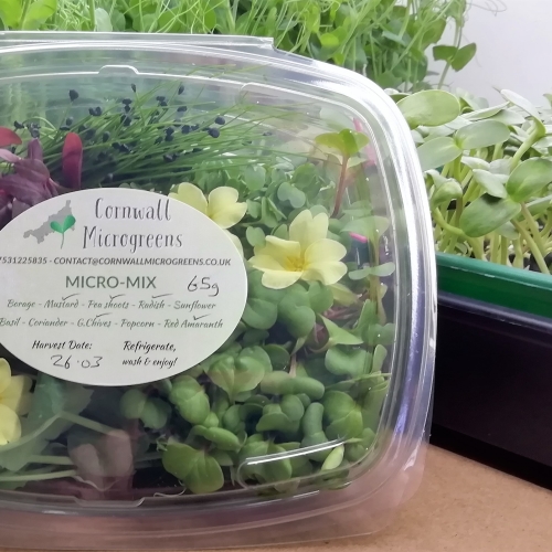 Microgreens salad box