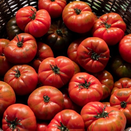 Loose tomatoes