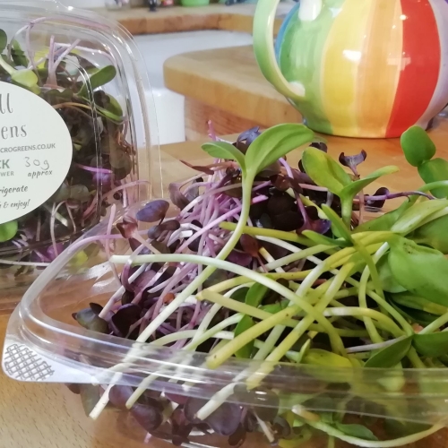 Individual varieties of microgreens