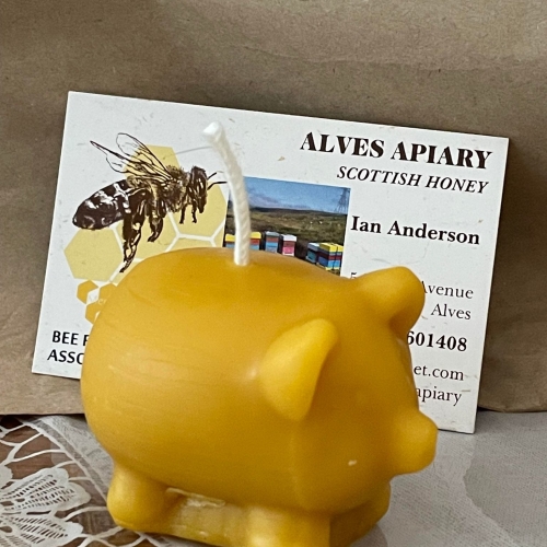 Beeswax Candle  pig