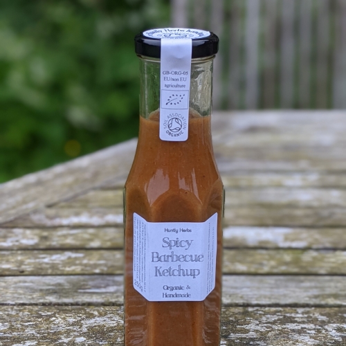 Spicy Barbecue Ketchup 250g