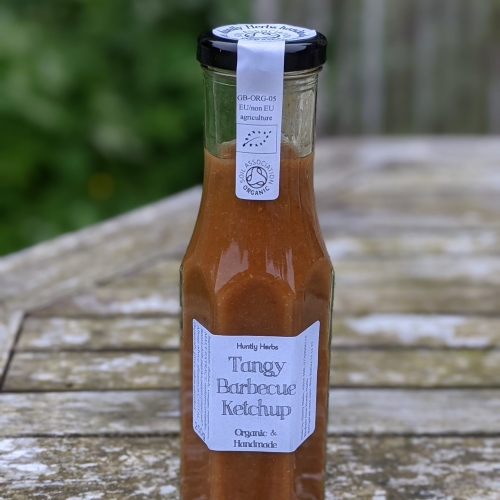 Tangy Barbecue Ketchup 250g