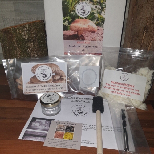 Mushroom Grow Kit, Shiitake dowels for Garden Logs Gift Set (Lentinula edodes)