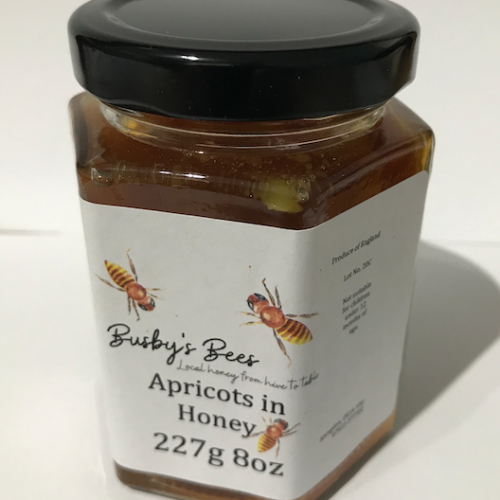 Apricots in Honey