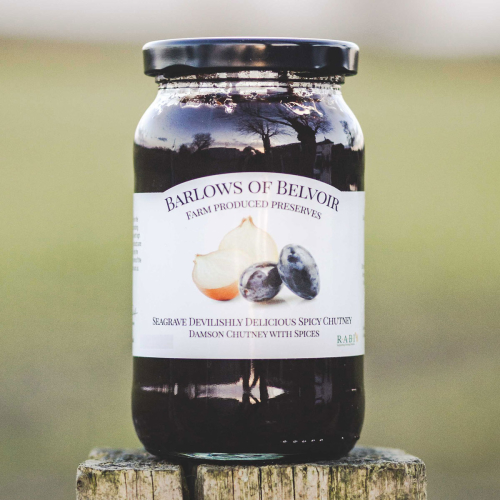 Seagrave Spicy | Damson Chutney with Spices