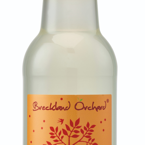 Ginger Beer with Chilli Posh Pop by Breckland Orchard *GREAT TASTE 1 Star 2018*
