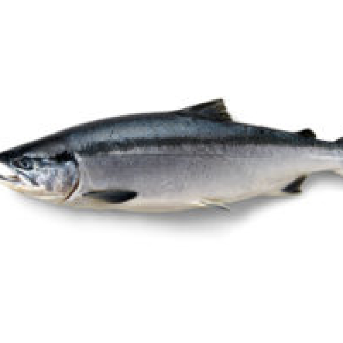 Wild Alaskan Sockeye Salmon 260g