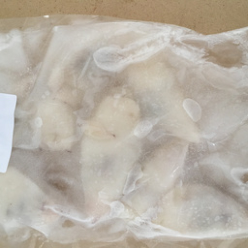 SQUID frozen