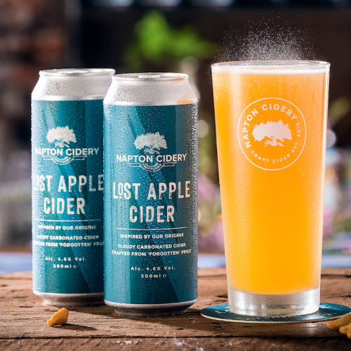Lost Apple Cloudy Medium Dry Cider 4.6% | 500ml Can