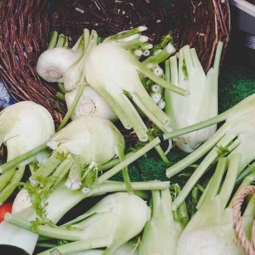 Fennel