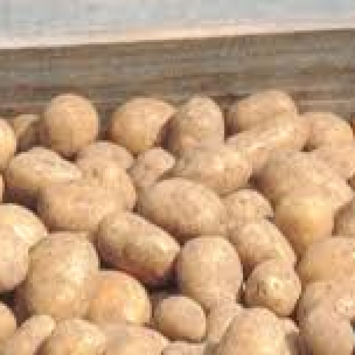 Ware potatoes - 3kg
