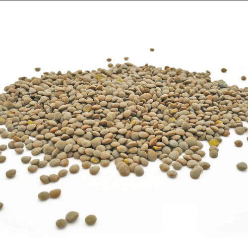 HODMEDOD’S Whole Olive Green Lentils