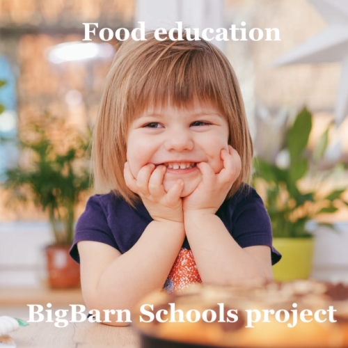 Schools Project banner
